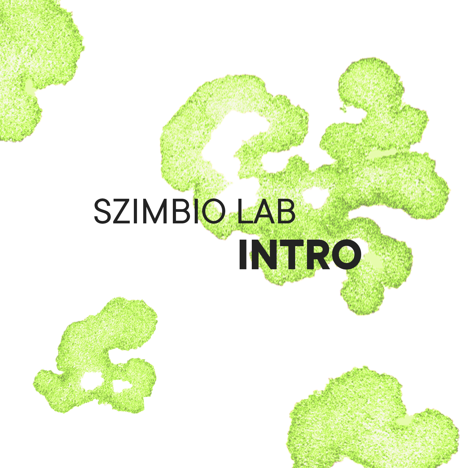 Szimbio Lab INTRO workshop 2022. február 9.